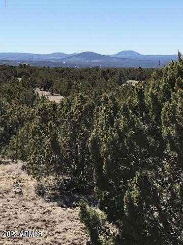 39.9 Acres of Land for Sale in Concho, Arizona