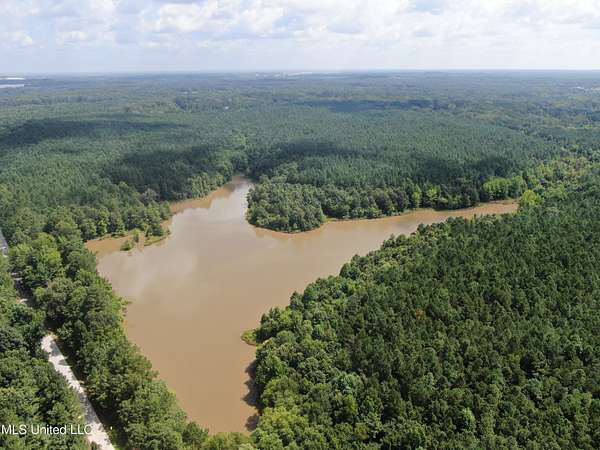 205 Acres of Recreational Land for Sale in Byhalia, Mississippi