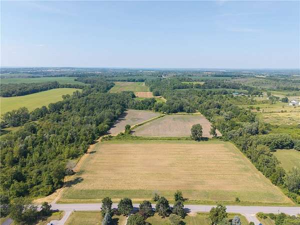 39.2 Acres of Land for Sale in Livonia, New York