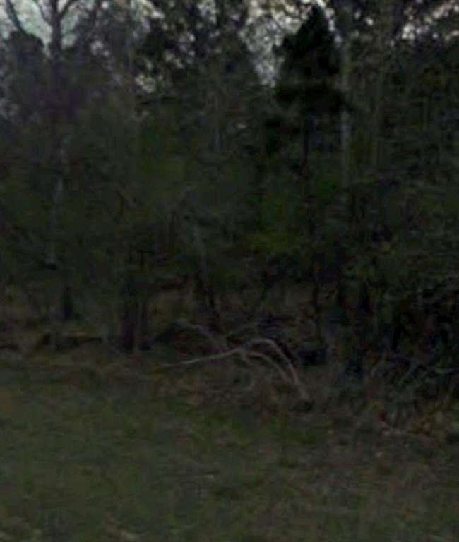 0.16 Acres of Land for Sale in Coldspring, Texas