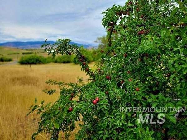 11.6 Acres of Land for Sale in Mesa, Idaho