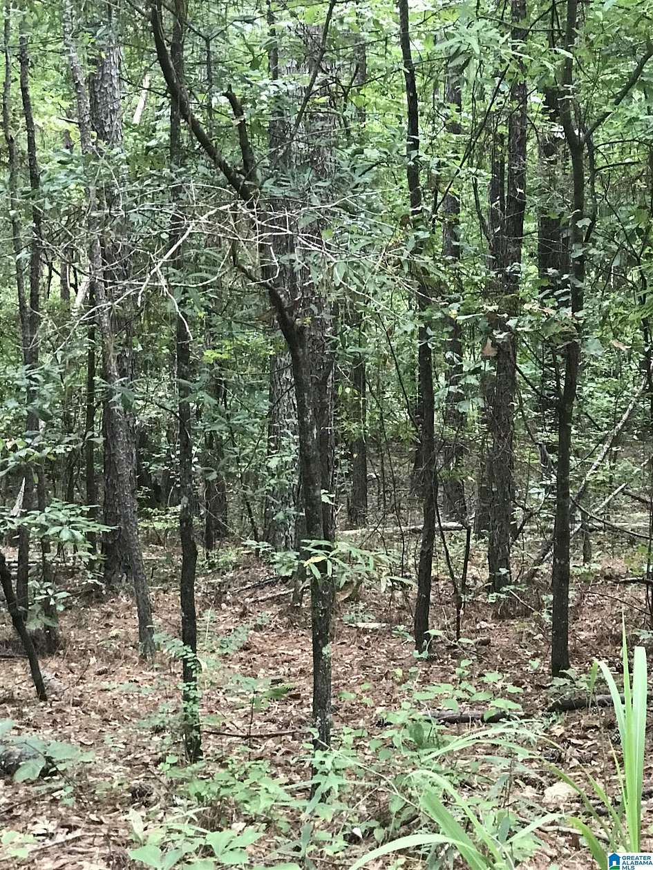 0.36 Acres of Land for Sale in Alpine, Alabama