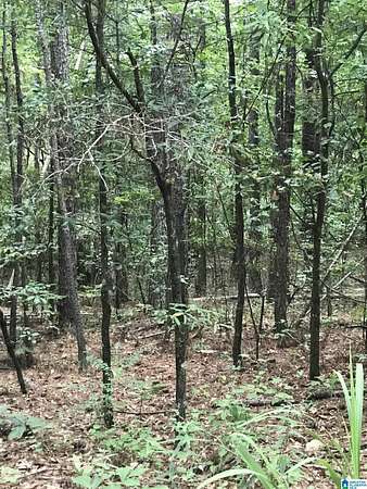 0.36 Acres of Land for Sale in Alpine, Alabama