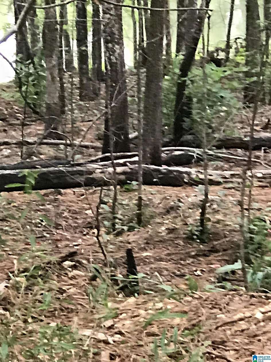 1 Acre of Land for Sale in Alpine, Alabama