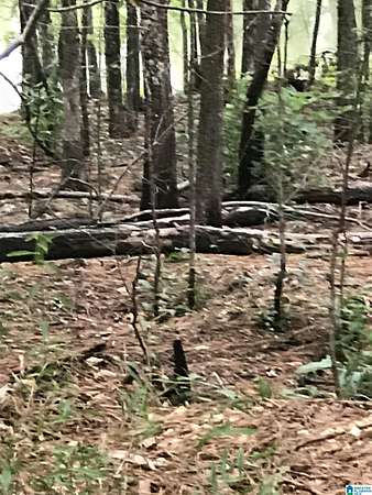 1 Acre of Land for Sale in Alpine, Alabama