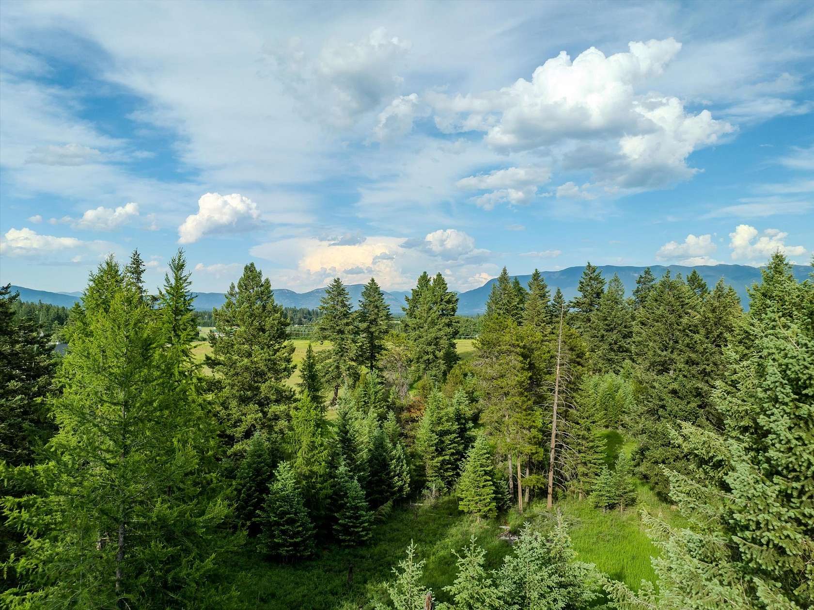 5.36 Acres of Residential Land for Sale in Whitefish, Montana