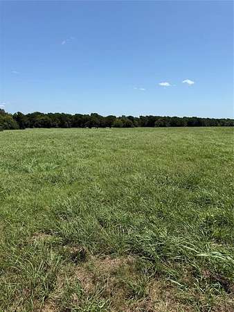 10 Acres of Recreational & Residential Land for Sale in Wills Point, Texas