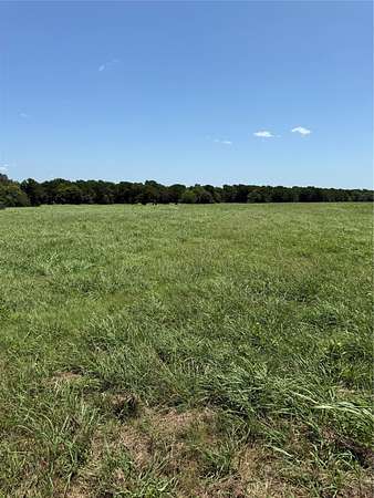 10 Acres of Recreational & Residential Land for Sale in Wills Point, Texas