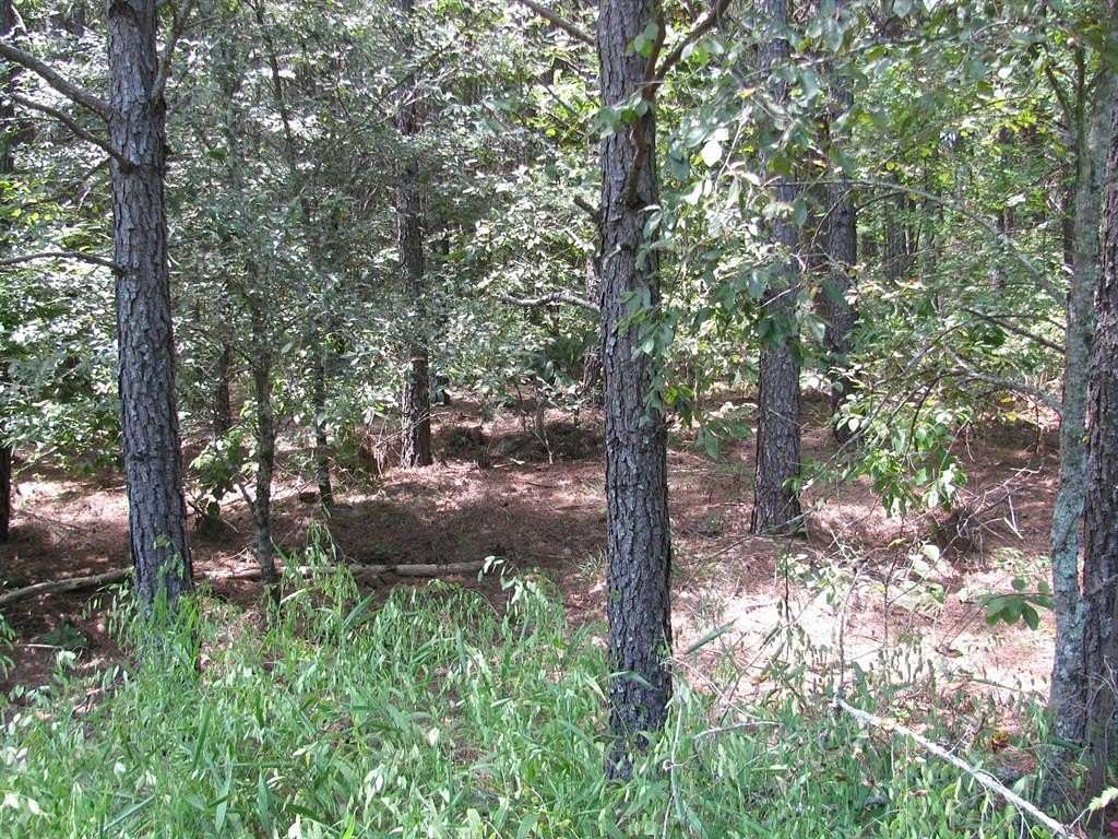 5.79 Acres of Land for Sale in Nashoba, Oklahoma