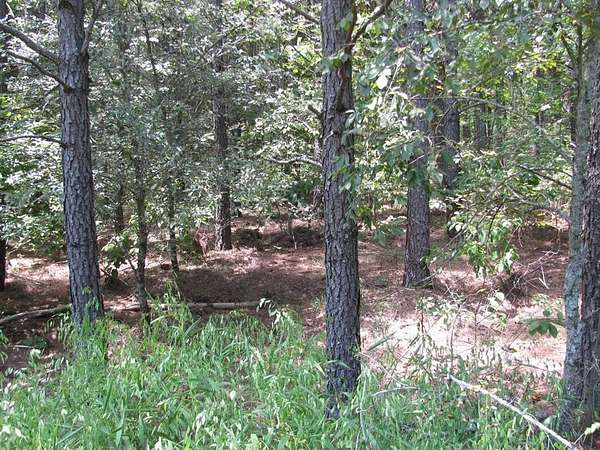 5.79 Acres of Land for Sale in Nashoba, Oklahoma