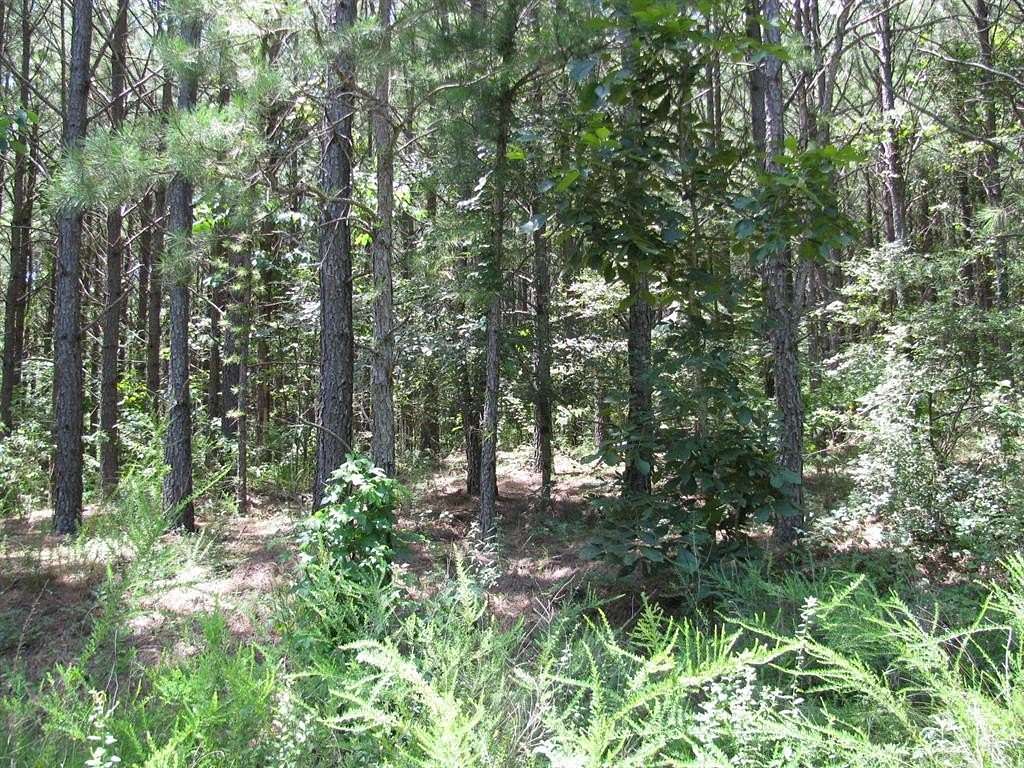 7.22 Acres of Land for Sale in Nashoba, Oklahoma