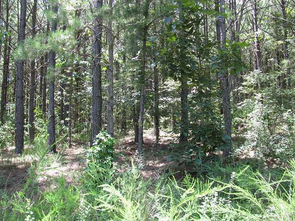 7.22 Acres of Land for Sale in Nashoba, Oklahoma