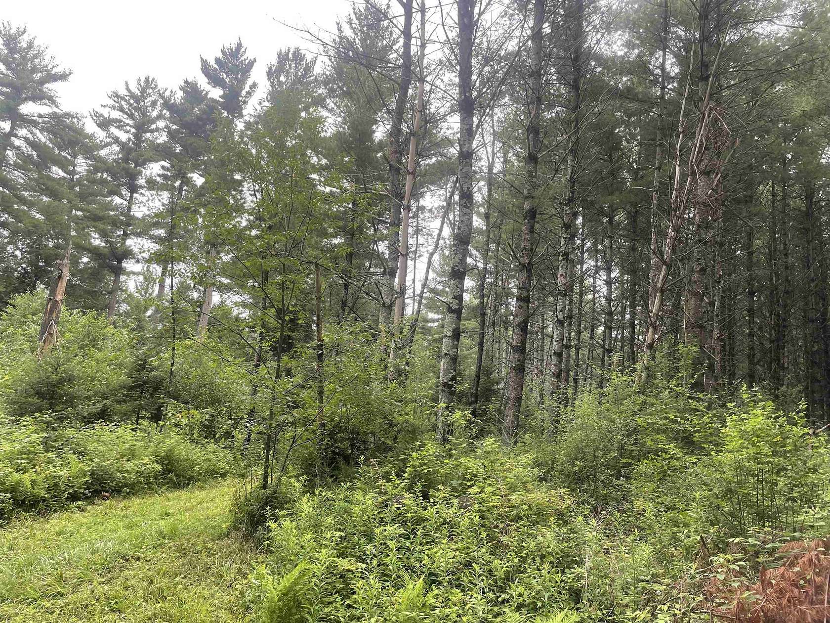 45 Acres of Land for Sale in Wausau, Wisconsin