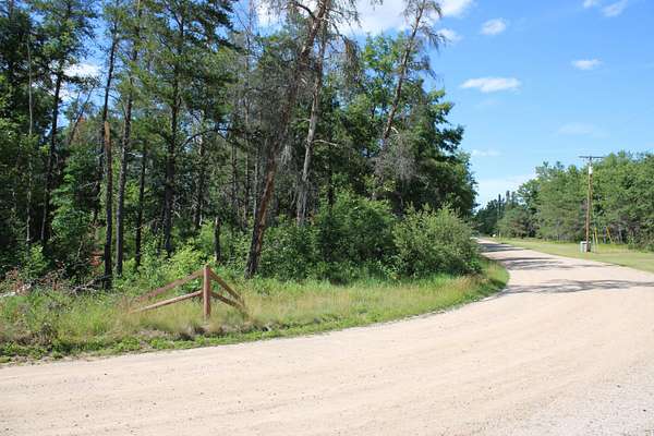 Land for Sale in Mio, Michigan