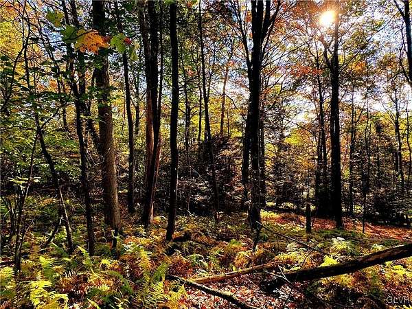 1.3 Acres of Residential Land for Sale in Kunkletown, Pennsylvania