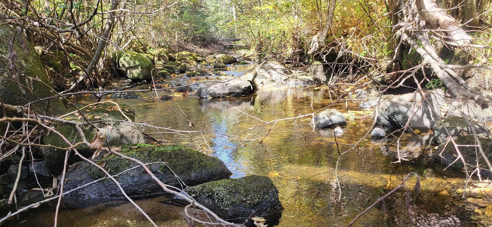 38.6 Acres of Recreational Land for Sale in Lunenburg, Vermont