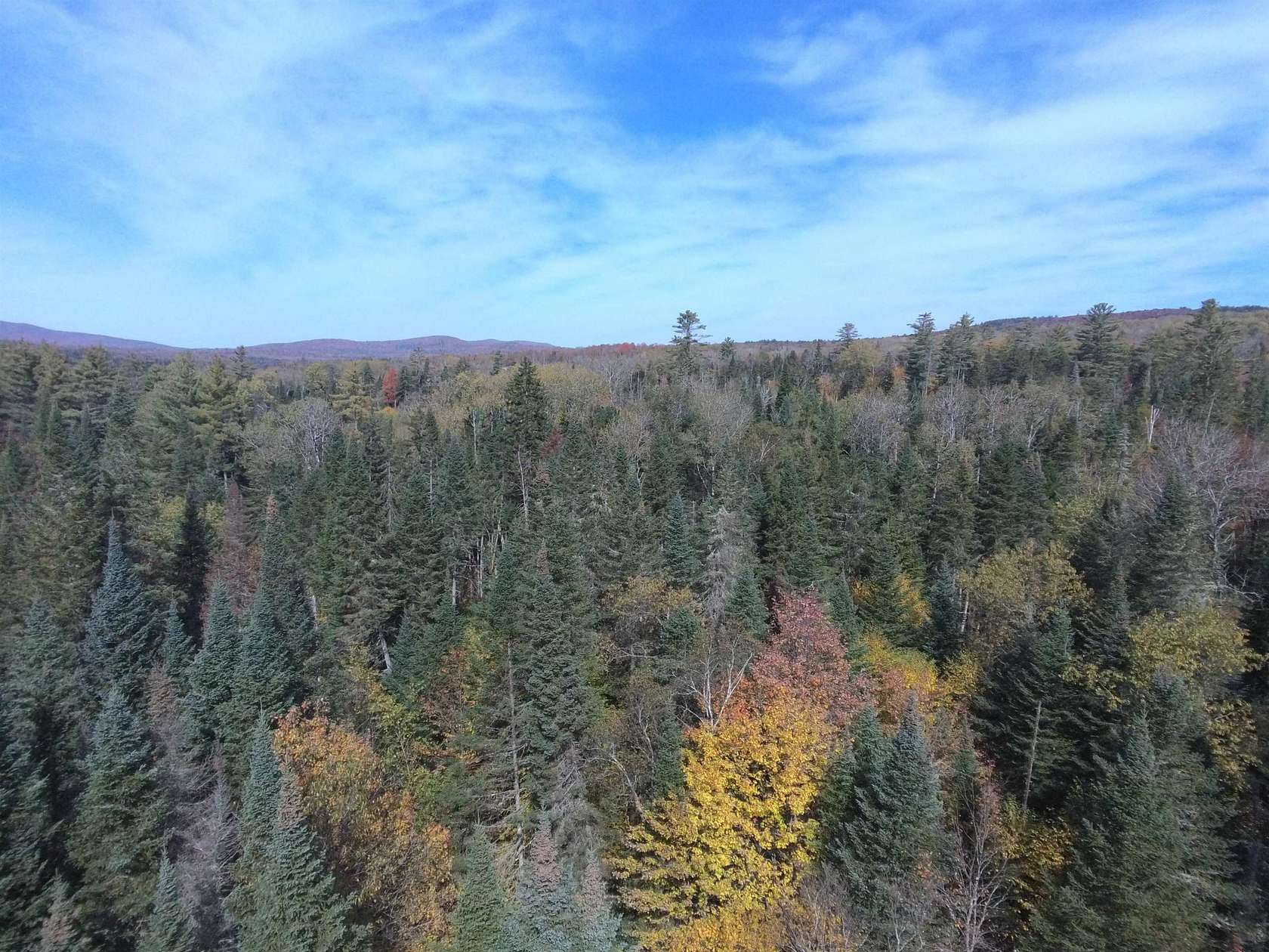 38.6 Acres of Recreational & Residential Land for Sale in Lunenburg, Vermont