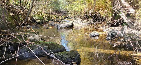 38.6 Acres of Recreational Land for Sale in Lunenburg, Vermont