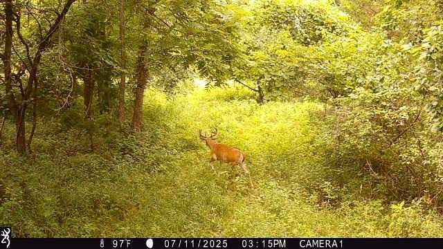 19.5 Acres of Recreational Land for Sale in Mound City, Kansas