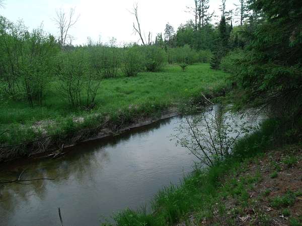 20.7 Acres of Recreational Land for Sale in Indian River, Michigan