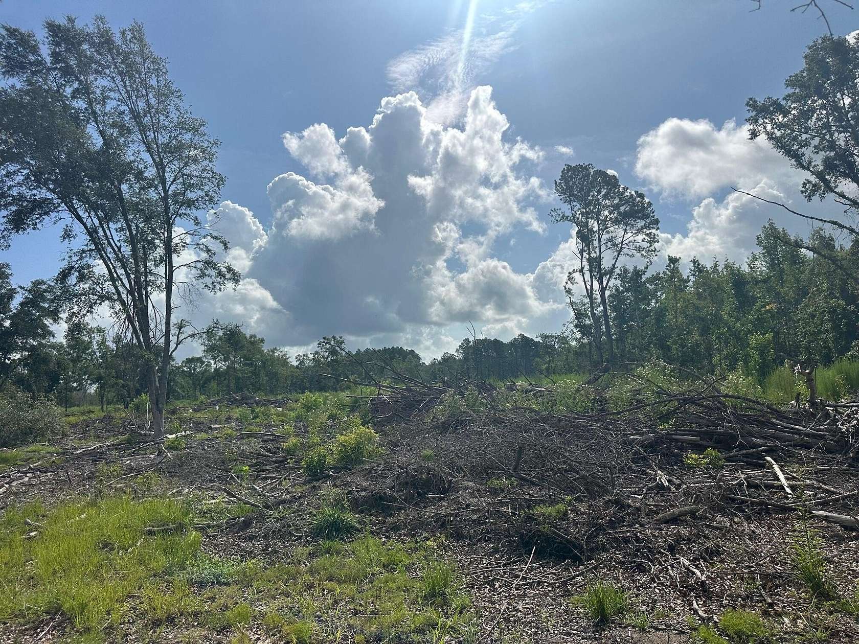 103 Acres of Recreational Land & Farm for Sale in St. George, South Carolina