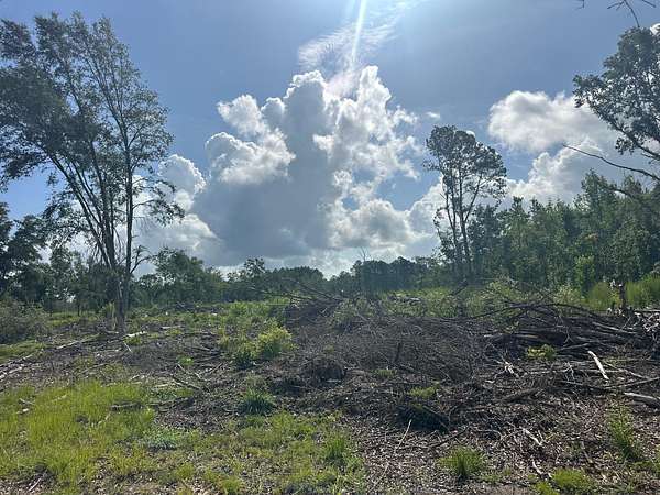 103 Acres of Recreational Land & Farm for Sale in St. George, South Carolina