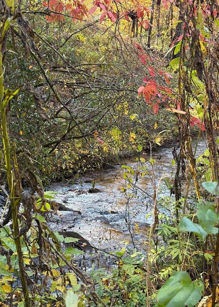 Residential Land for Sale in Murphy, North Carolina