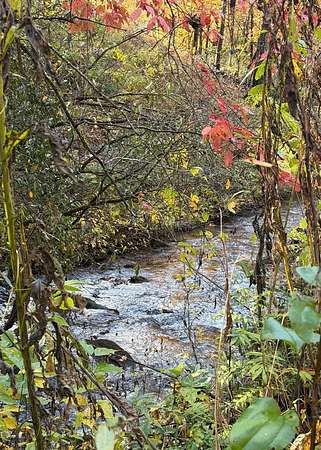 1 Acre of Residential Land for Sale in Murphy, North Carolina