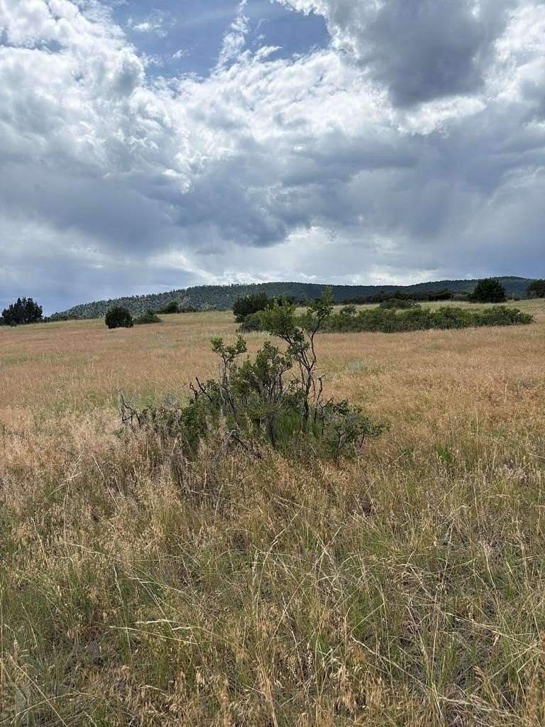 5 Acres of Residential Land for Sale in Colorado City, Colorado