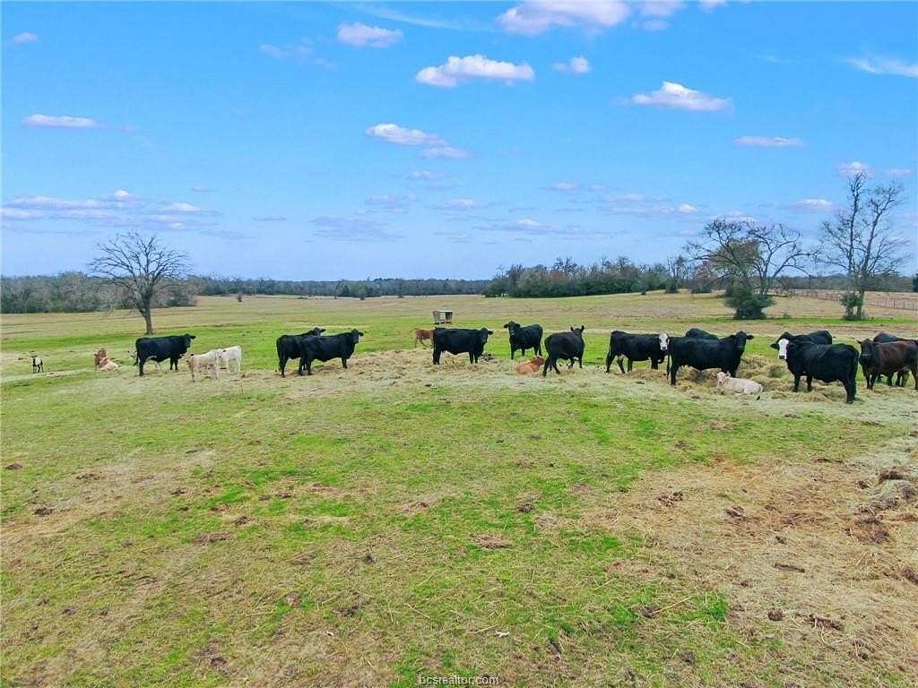 21.7 Acres of Land for Sale in Iola, Texas