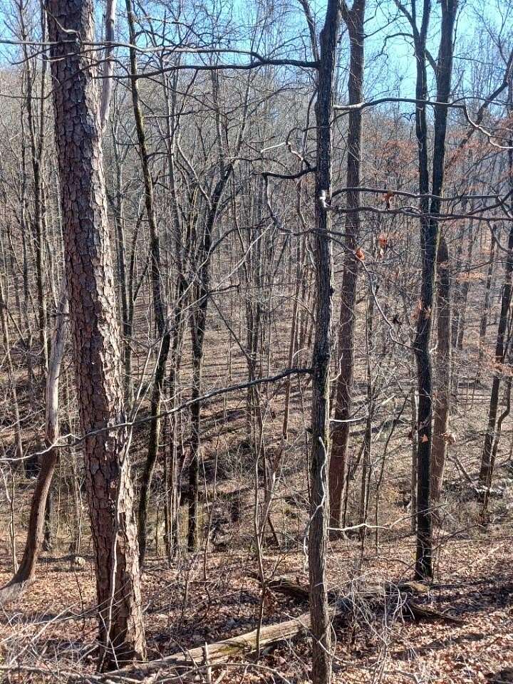 6 Acres of Residential Land with Home for Sale in Hixson, Tennessee