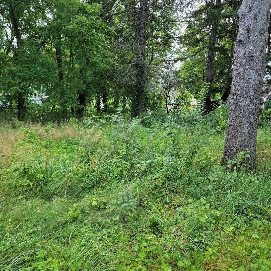 0.45 Acres of Residential Land for Sale in Wauconda, Illinois
