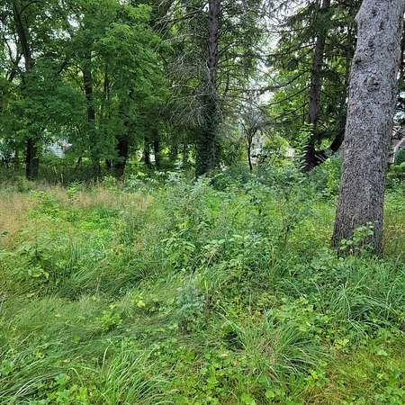 0.45 Acres of Residential Land for Sale in Wauconda, Illinois