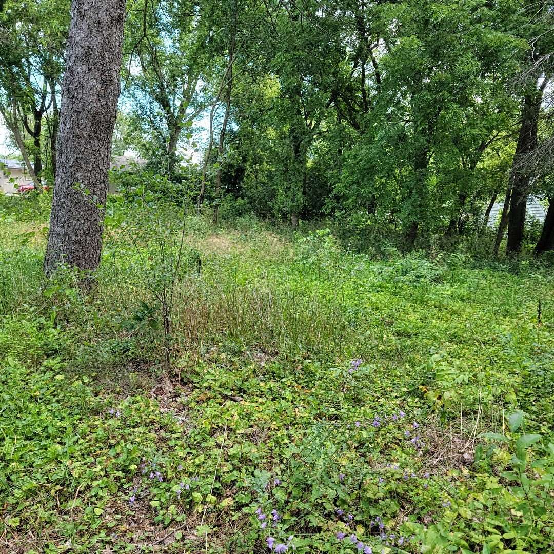 0.15 Acres of Residential Land for Sale in Wauconda, Illinois