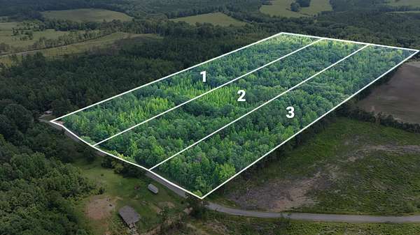 10.7 Acres of Land for Sale in Golden, Mississippi