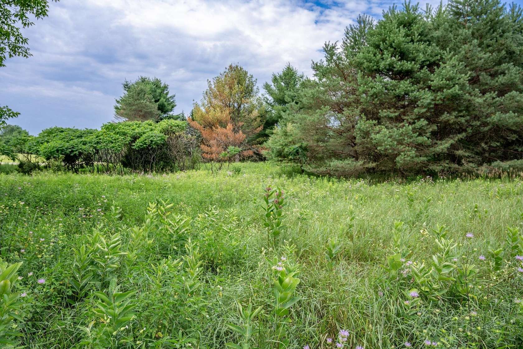 4.75 Acres of Residential Land for Sale in Oxford, Wisconsin