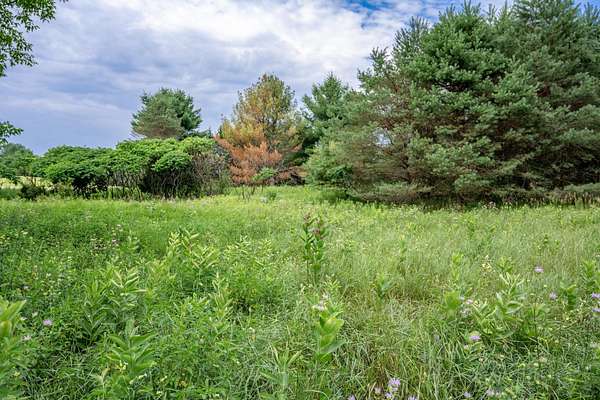4.75 Acres of Residential Land for Sale in Oxford, Wisconsin