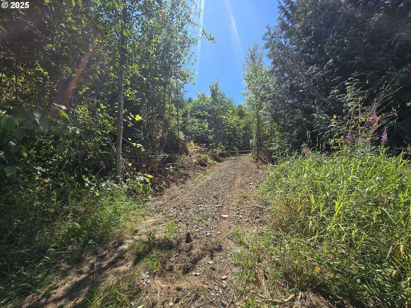 25.9 Acres of Recreational Land for Sale in Morton, Washington