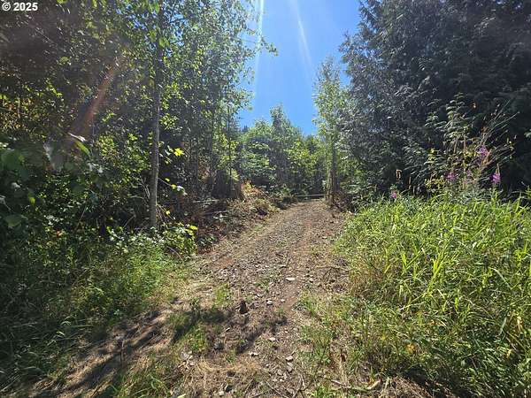 25.9 Acres of Recreational Land for Sale in Morton, Washington