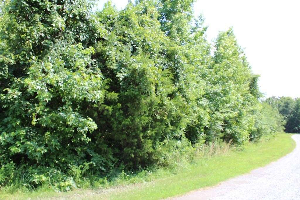 Residential Land for Sale in South Boston, Virginia