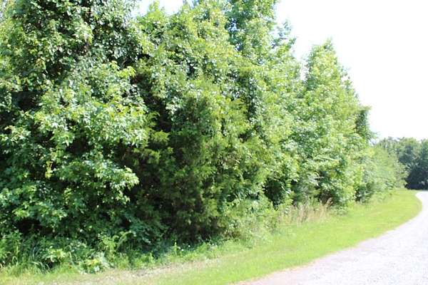 Residential Land for Sale in South Boston, Virginia