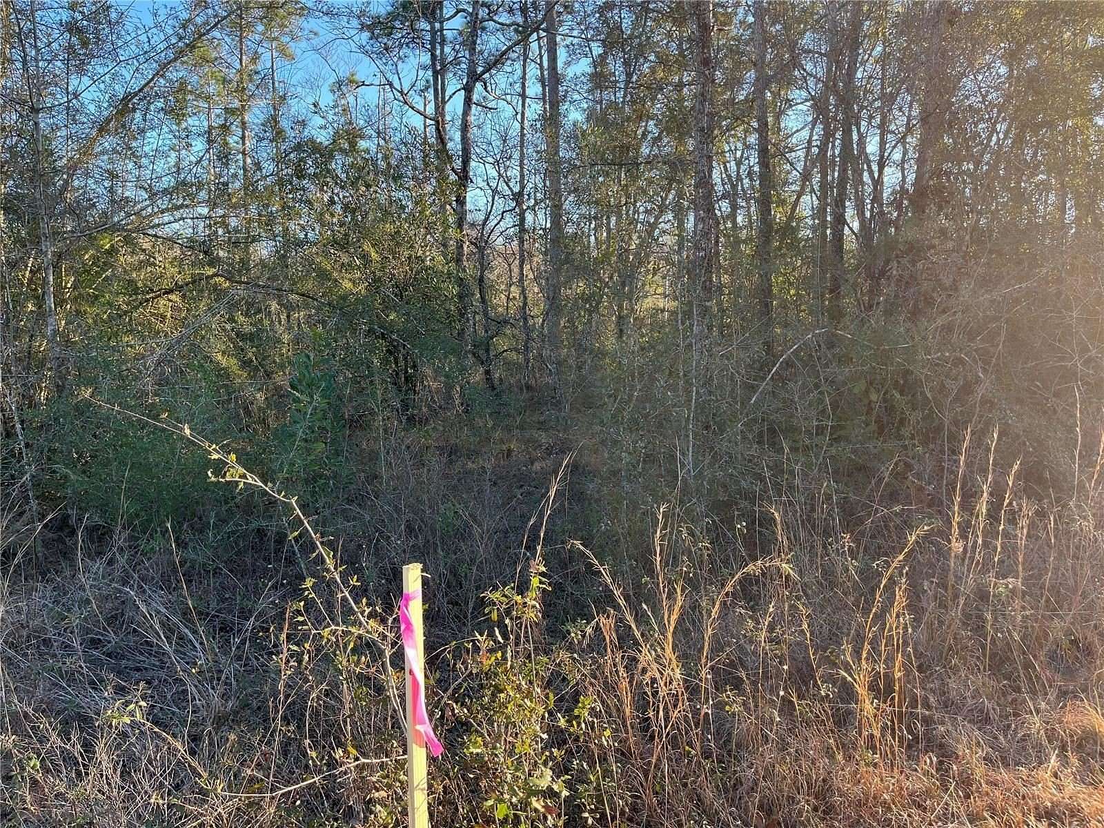 1 Acre of Residential Land for Sale in Alford, Florida