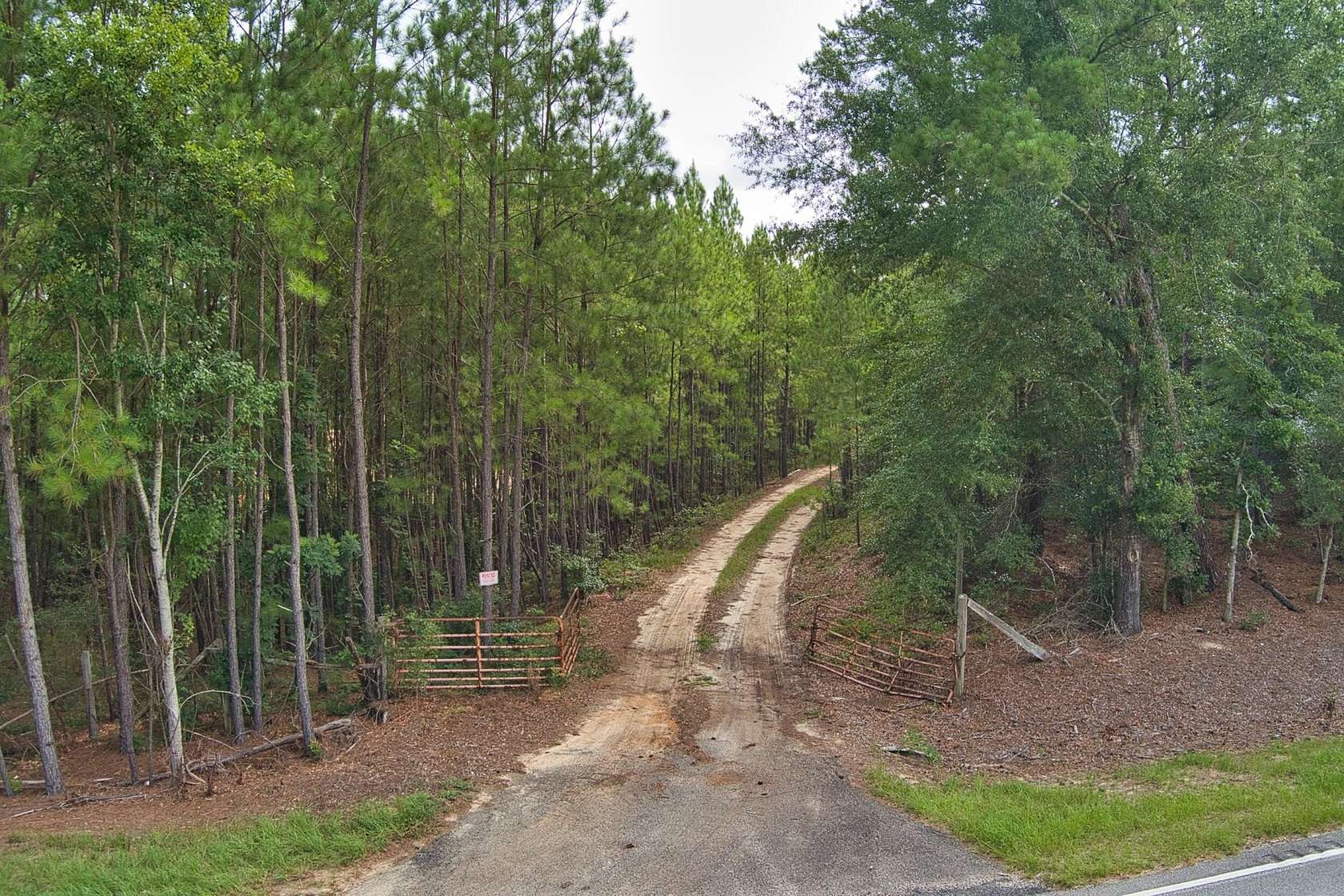 64.7 Acres of Recreational Land for Sale in Salley, South Carolina