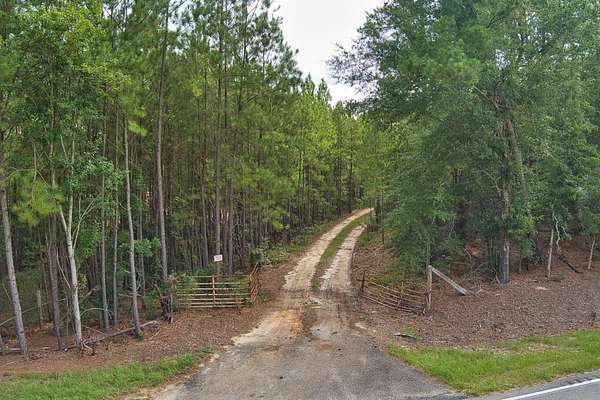 64.7 Acres of Recreational Land for Sale in Salley, South Carolina