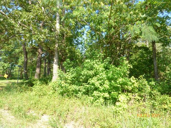 1 Acre of Residential Land for Sale in Pineville, South Carolina