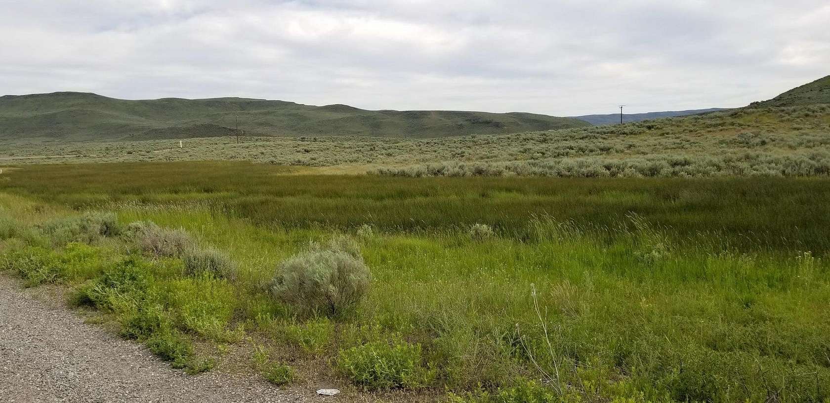 26.3 Acres of Land for Sale in Bellevue, Idaho