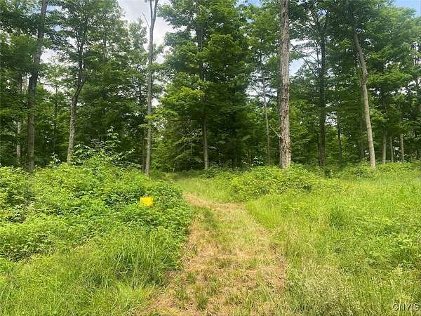121 Acres of Recreational Land for Sale in Wellsville, New York