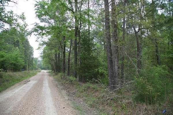 30.8 Acres of Recreational & Residential Land for Sale in Corrigan, Texas