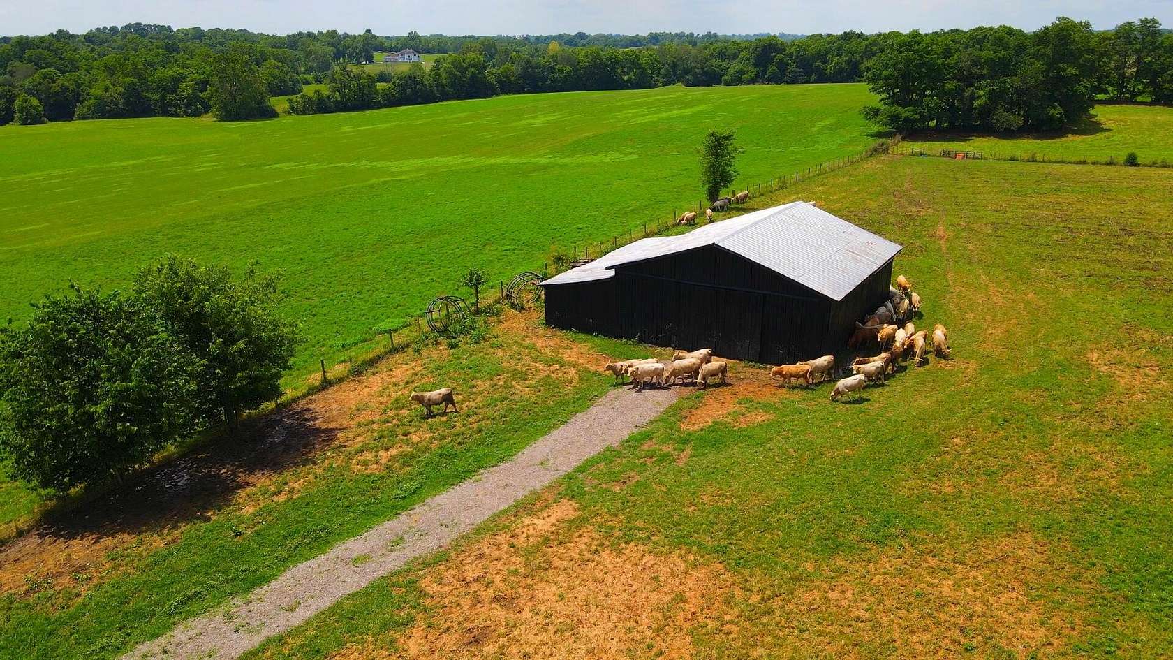 50.2 Acres of Land for Sale in Cynthiana, Kentucky