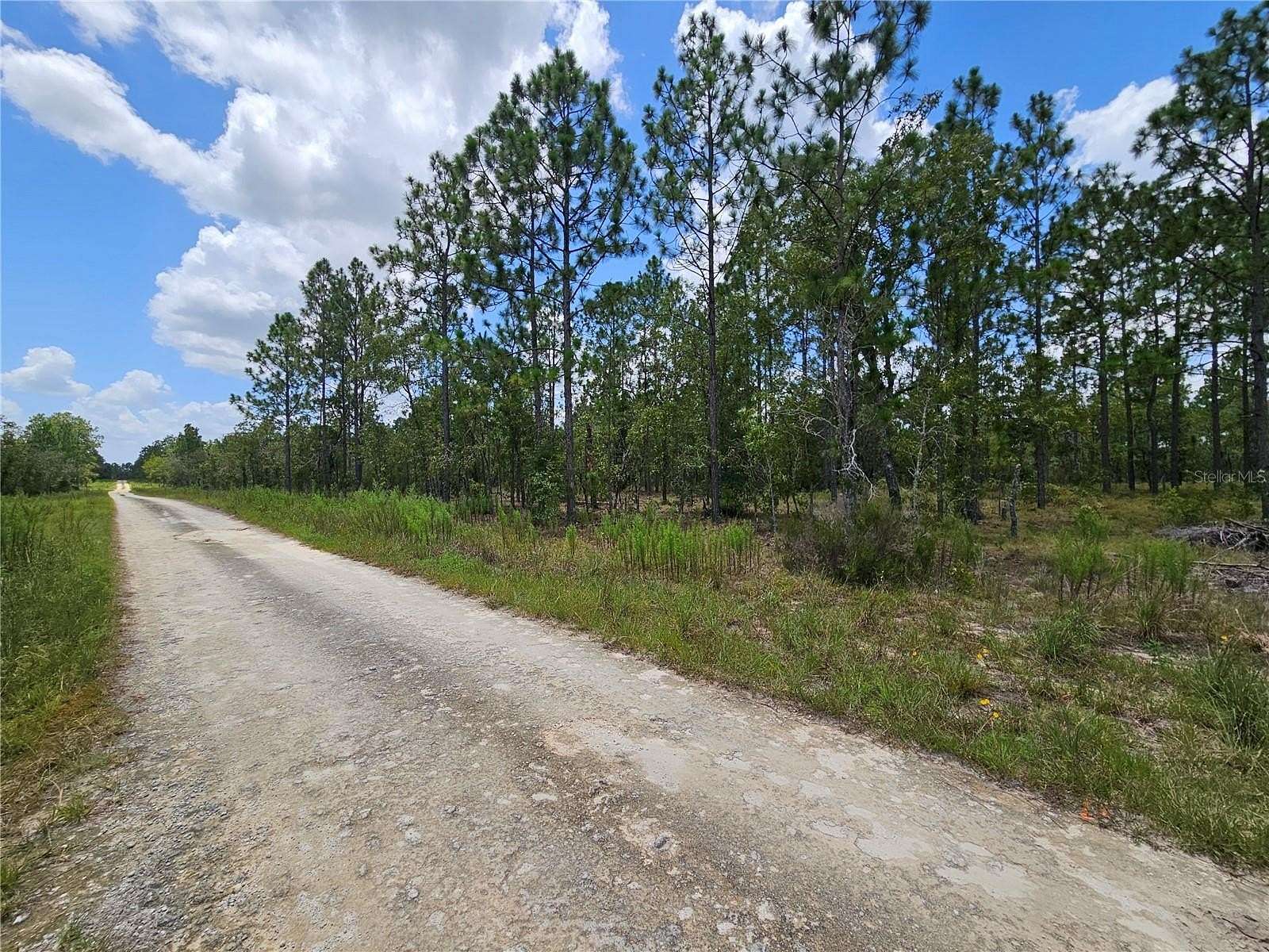 0.23 Acres of Land for Sale in Williston, Florida